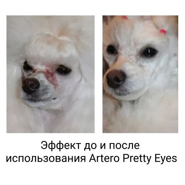 Лосьйон для догляду за очима тварин Artero Pretty Eyes 250 мл ART-H646 фото