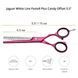 Ножницы филировочные JAGUAR White Line Pastell plus ES40 Offset candy. Длина 5.50 дюйма 3054-3 фото 5