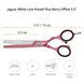 Парикмахерские ножницы (филировочные) Jaguar White Line Pastell Berry 3054-10 фото 2